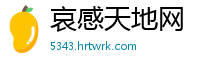 哀感天地网